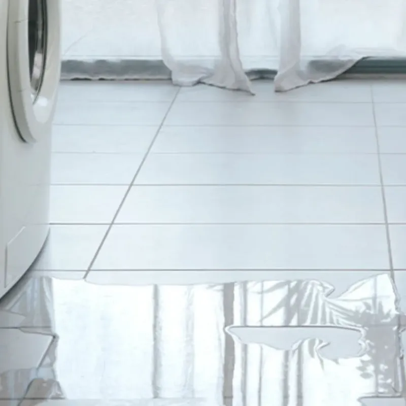 Appliance Leak Cleanup in Taylor County, KY