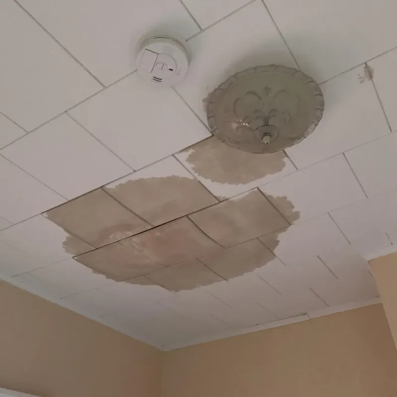Ceiling Water Damage Repair in Taylor County, KY
