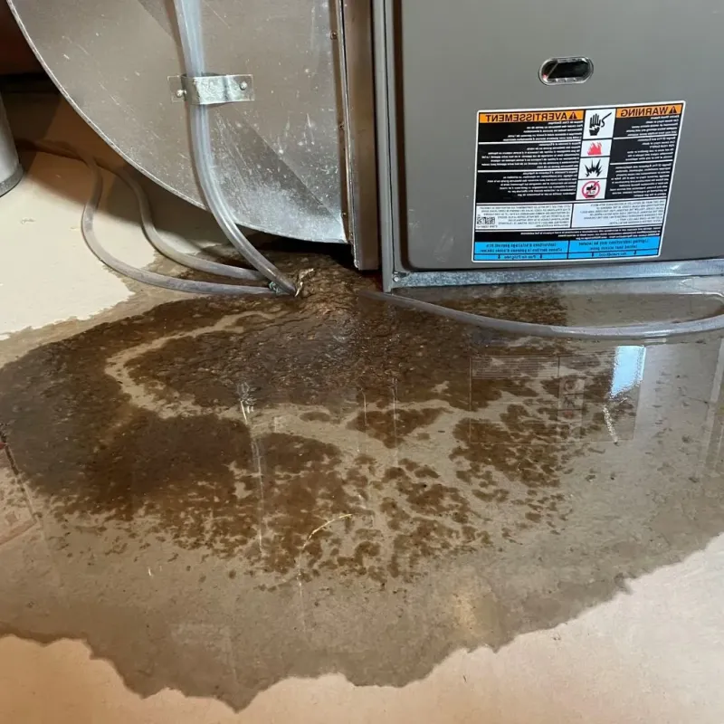 Pipe Burst and Leak Restoration in Taylor County, KY