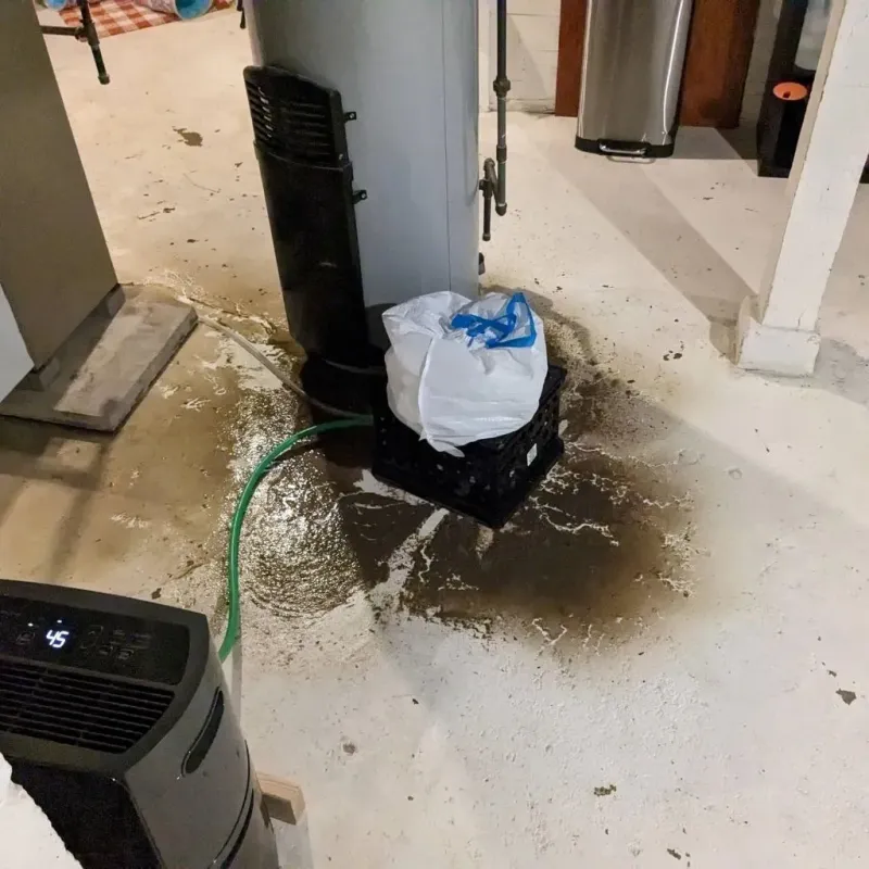 Sewage Backup Cleanup Service in Taylor County, KY
